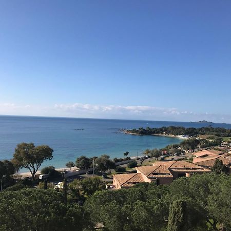 Superbe Appartement T2 Vue Magnifique Sanguinaires A 50M De La Plage Ajaccio  Exteriör bild